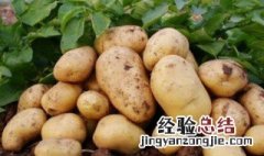 土豆可以放多久 土豆存储方法