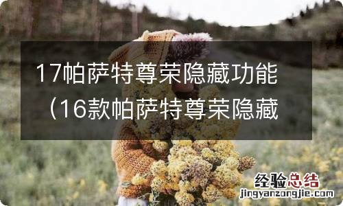 16款帕萨特尊荣隐藏功能 17帕萨特尊荣隐藏功能