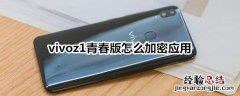 vivoz1青春版怎么加密应用