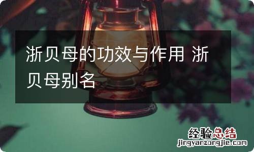 浙贝母的功效与作用 浙贝母别名