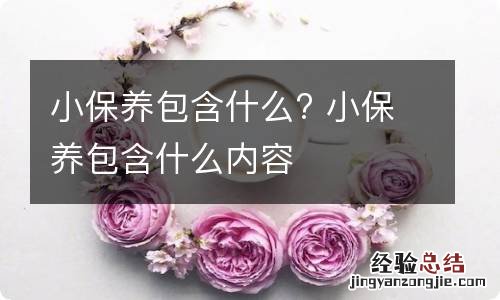 小保养包含什么? 小保养包含什么内容