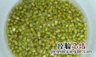 绿豆芽种植方法 绿豆芽怎么种