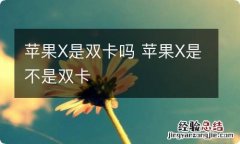 苹果X是双卡吗 苹果X是不是双卡