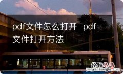 pdf文件怎么打开pdf文件打开方法