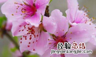 我想你日语怎么说 我想你日语怎么说读出来