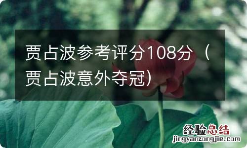 贾占波意外夺冠 贾占波参考评分108分