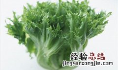 生菜分苗最佳方法 有什么种植的小技巧呢