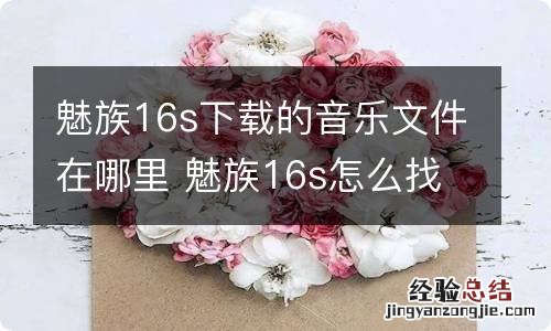 魅族16s下载的音乐文件在哪里 魅族16s怎么找到下载的音乐文件