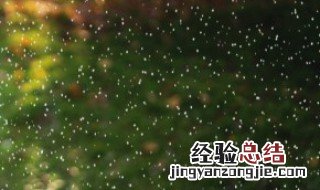 下雨了刹车盘生锈 奥迪刹车盘下雨生锈怎么回事