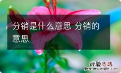 分销是什么意思 分销的意思