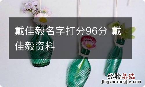 戴佳毅名字打分96分 戴佳毅资料