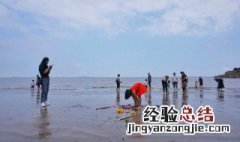 浙江海边哪里好玩 浙江海边哪里好玩又省钱的景点