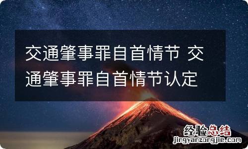 交通肇事罪自首情节 交通肇事罪自首情节认定
