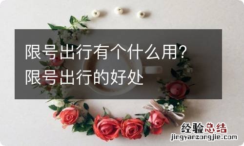 限号出行有个什么用? 限号出行的好处