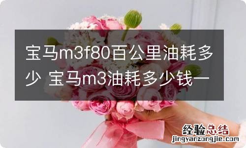 宝马m3f80百公里油耗多少 宝马m3油耗多少钱一公里