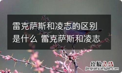 雷克萨斯和凌志的区别是什么 雷克萨斯和凌志是一个品牌的车吗