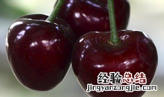 山东大樱桃的特点和营养价值 山东大樱桃的功效