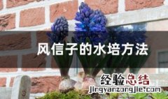 风信子的养殖方法水培 风信子应该这样养