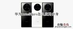 华为mate50pro怎么应用分身 华为p50pro应用分身