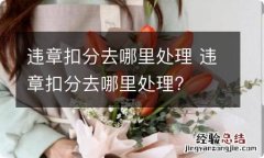 违章扣分去哪里处理 违章扣分去哪里处理?