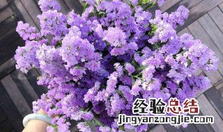 勿忘我鲜花要放水养吗 勿忘我鲜花怎么养 放水养 还是不放水