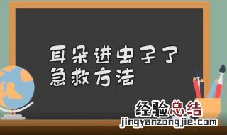 耳朵进虫子怎么办急救方法看不见虫子 耳朵进虫子怎么办