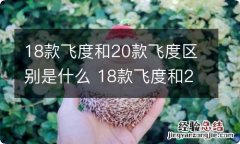 18款飞度和20款飞度区别是什么 18款飞度和20款飞度区别是什么意思