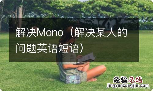 解决某人的问题英语短语 解决Mono