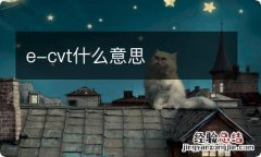 e-cvt什么意思