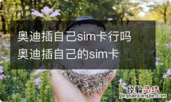 奥迪插自己sim卡行吗 奥迪插自己的sim卡