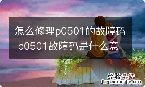 怎么修理p0501的故障码 p0501故障码是什么意思