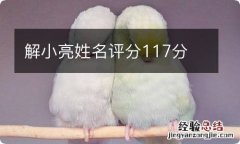 解小亮姓名评分117分