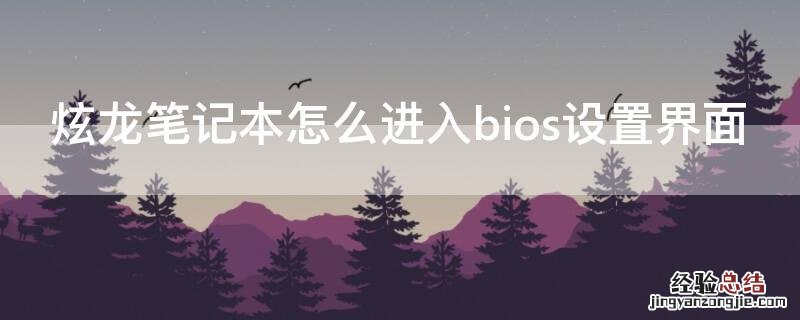 炫龙笔记本怎么进入bios设置界面 炫龙笔记本怎么进入bios设置界面快捷键