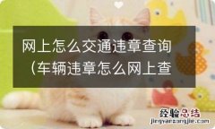 车辆违章怎么网上查询 网上怎么交通违章查询