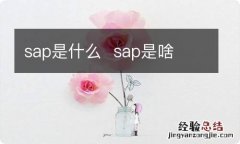 sap是什么sap是啥