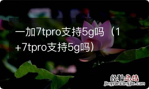 1+7tpro支持5g吗 一加7tpro支持5g吗