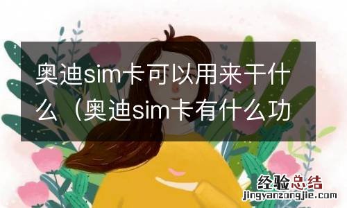 奥迪sim卡有什么功能 奥迪sim卡可以用来干什么