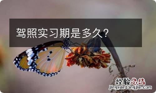 驾照实习期是多久?