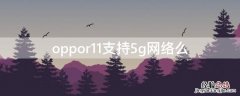 oppor11支持5g网络么 oppor11s支持5g网络吗