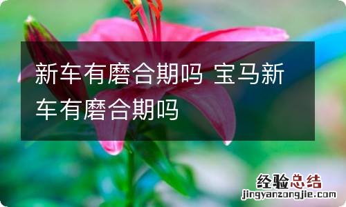 新车有磨合期吗 宝马新车有磨合期吗