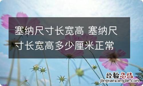 塞纳尺寸长宽高 塞纳尺寸长宽高多少厘米正常