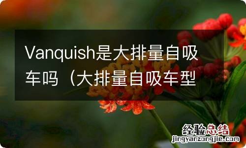 大排量自吸车型 Vanquish是大排量自吸车吗