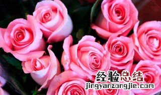 20朵玫瑰代表什么意思 20朵玫瑰的含义