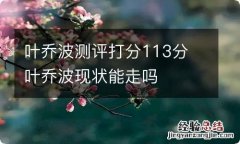 叶乔波测评打分113分 叶乔波现状能走吗