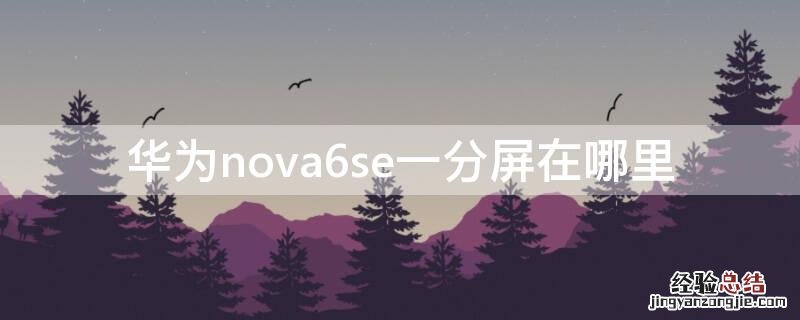 华为nova6se一分屏在哪里