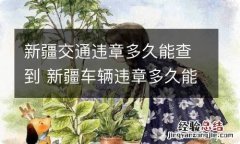 新疆交通违章多久能查到 新疆车辆违章多久能查到