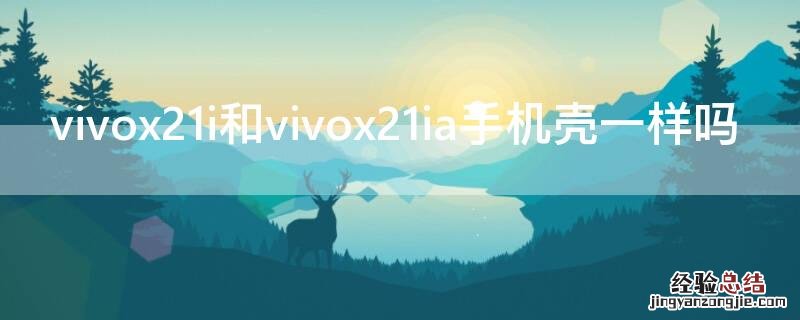 vivox21i和vivox21ia手机壳一样吗 vivox21i与x21ia手机壳一样么