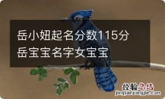 岳小妞起名分数115分 岳宝宝名字女宝宝