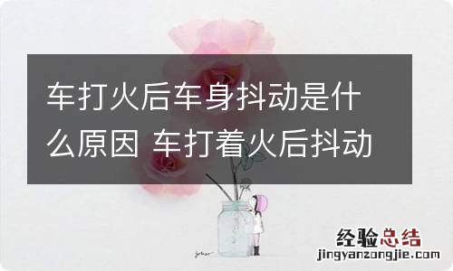 车打火后车身抖动是什么原因 车打着火后抖动是什么原因