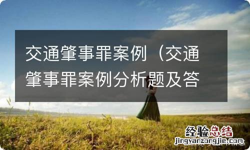 交通肇事罪案例分析题及答案 交通肇事罪案例